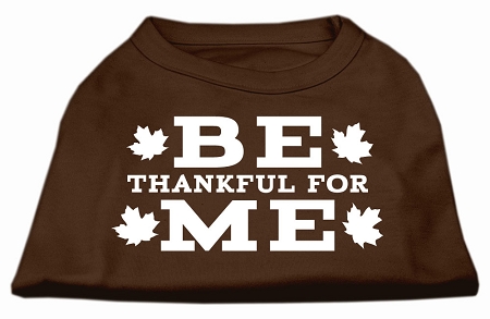 Be Thankful for Me Screen Print Shirt Brown Med